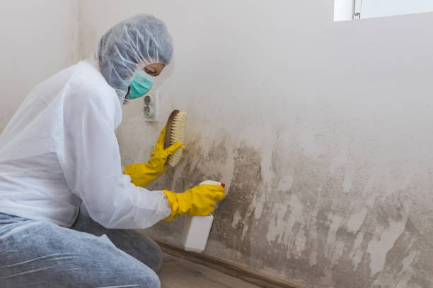 Best Mold Odor Removal Services  in Crescent City, CA