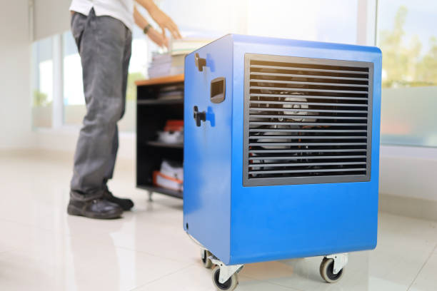 Best Airborne Mold Testing  in Crescent City, CA