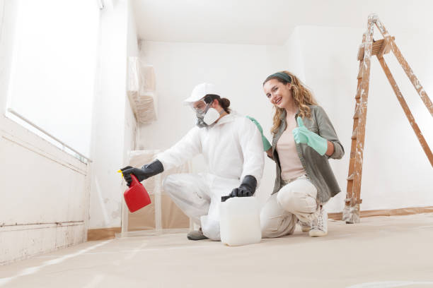 Best Industrial Mold Remediation  in Crescent City, CA