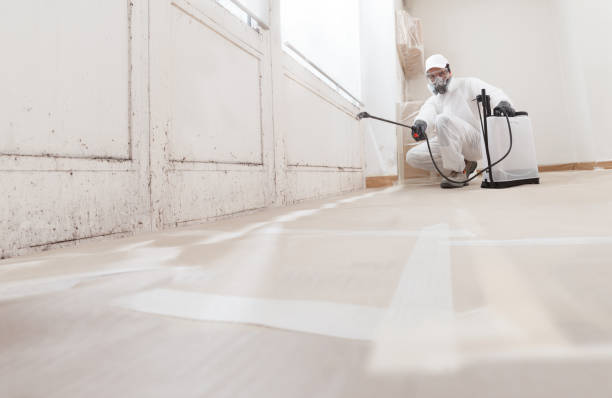 Best Mold Removal for HVAC Installations  in Crescent City, CA
