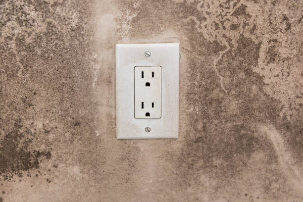 Best Residential Mold Inspection & Testing  in Crescent City, CA