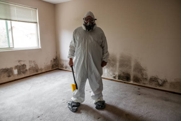 Crescent City, CA Mold Removal Company